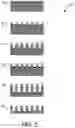 Fig. 06 - LARGE AREA METROLOGY AND PROCESS CONTROL FOR ANISOTROPIC CHEMICAL ETCHING