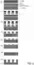 Fig. 07 - LARGE AREA METROLOGY AND PROCESS CONTROL FOR ANISOTROPIC CHEMICAL ETCHING