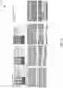 Fig. 21 - LARGE AREA METROLOGY AND PROCESS CONTROL FOR ANISOTROPIC CHEMICAL ETCHING