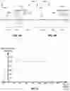 Fig. 05 - Intelligent customizable wet processing system