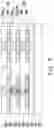 Fig. 07 - Integrated circuit package and method