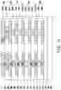 Fig. 14 - Integrated circuit package and method