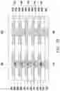 Fig. 33 - Integrated circuit package and method