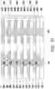 Fig. 34 - Integrated circuit package and method
