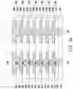 Fig. 36 - Integrated circuit package and method