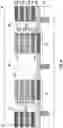 Fig. 11 - Method for designing three dimensional metal lines for enhanced device performance