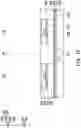 Fig. 07 - Package and manufacturing method thereof