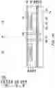 Fig. 09 - Package and manufacturing method thereof