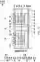 Fig. 16 - Package and manufacturing method thereof