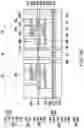 Fig. 23 - Package and manufacturing method thereof