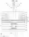 Fig. 21 - Display device