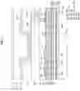 Fig. 08 - Display device
