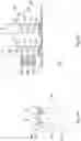 Fig. 07 - Nano transistors with source/drain having side contacts to 2-D material