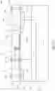 Fig. 06 - LDMOS with enhanced safe operating area and method of manufacture