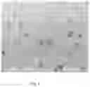 Fig. 02 - Dielectric Film Coating for Full Conversion Ceramic Platelets