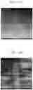 Fig. 12 - SUPERCONDUCTING WIRE AND METHOD OF FORMING THE SAME