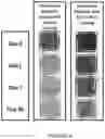 Fig. 11 - NON-FULLERENE ACCEPTORS (NFAS) AS INTERFACIAL LAYERS IN PEROVSKITE SEMICONDUCTOR DEVICES
