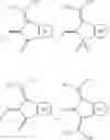 Fig. 43 - Key materials for organic photovoltaics reliability