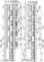 Fig. 15 - Light-emitting device, light-emitting appliance, display device, electronic appliance, and lighting device