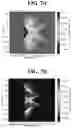 Fig. 13 - Enhanced outcoupling from surface plasmon modes in corrugated OLEDs