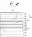 Fig. 01 - Display device with a plurality of inorganic encapsulation layers