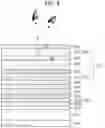 Fig. 09 - Display device with a plurality of inorganic encapsulation layers