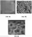 Fig. 08 - Atomic layer deposition on high-aspect-ratio electrode structures