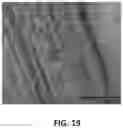 Fig. 22 - Atomic layer deposition on high-aspect-ratio electrode structures