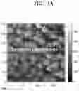 Fig. 02 - NICKEL-BASED LITHIUM METAL COMPOSITE OXIDE, METHOD OF PREPARING THE SAME, AND LITHIUM SECONDARY BATTERY INCLUDING POSITIVE ELECTRODE INCLUDING THE SAME