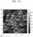 Fig. 07 - NICKEL-BASED LITHIUM METAL COMPOSITE OXIDE, METHOD OF PREPARING THE SAME, AND LITHIUM SECONDARY BATTERY INCLUDING POSITIVE ELECTRODE INCLUDING THE SAME