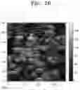 Fig. 08 - NICKEL-BASED LITHIUM METAL COMPOSITE OXIDE, METHOD OF PREPARING THE SAME, AND LITHIUM SECONDARY BATTERY INCLUDING POSITIVE ELECTRODE INCLUDING THE SAME