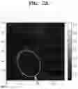 Fig. 10 - NICKEL-BASED LITHIUM METAL COMPOSITE OXIDE, METHOD OF PREPARING THE SAME, AND LITHIUM SECONDARY BATTERY INCLUDING POSITIVE ELECTRODE INCLUDING THE SAME