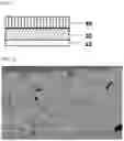 Fig. 02 - Positive Electrode for Lithium Secondary Battery and Lithium Secondary Battery Including the Same