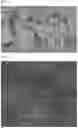 Fig. 04 - Positive Electrode for Lithium Secondary Battery and Lithium Secondary Battery Including the Same