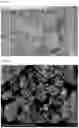 Fig. 06 - Positive Electrode for Lithium Secondary Battery and Lithium Secondary Battery Including the Same