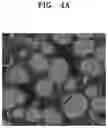 Fig. 14 - NICKEL-BASED ACTIVE MATERIAL PRECURSOR FOR LITHIUM SECONDARY BATTERY, PREPARING METHOD THEREOF, NICKEL-BASED ACTIVE MATERIAL FOR LITHIUM SECONDARY BATTERY FORMED THEREOF, AND LITHIUM SECONDARY BATTERY COMPRISING POSITIVE ELECTRODE INCLUDING THE NICKEL-BASED ACTIVE MATERIAL