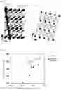 Fig. 02 - POSITIVE ACTIVE MATERIAL FOR NONAQUEOUS ELECTROLYTE SECONDARY BATTERY, POSITIVE ELECTRODE FOR NONAQUEOUS ELECTROLYTE SECONDARY BATTERY, AND NONAQUEOUS ELECTROLYTE SECONDARY BATTERY