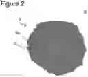 Fig. 03 - Non-aqueous electrolyte rechargeable battery