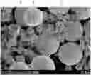 Fig. 01 - NICKEL-BASED ACTIVE MATERIAL, POSITIVE ELECTRODE INCLUDING THE SAME, AND LITHIUM SECONDARY BATTERY EMPLOYING THE POSITIVE ELECTRODE
