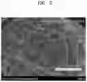 Fig. 04 - NICKEL-BASED ACTIVE MATERIAL, POSITIVE ELECTRODE INCLUDING THE SAME, AND LITHIUM SECONDARY BATTERY EMPLOYING THE POSITIVE ELECTRODE