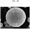 Fig. 06 - NICKEL-BASED ACTIVE MATERIAL, POSITIVE ELECTRODE INCLUDING THE SAME, AND LITHIUM SECONDARY BATTERY EMPLOYING THE POSITIVE ELECTRODE