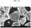 Fig. 08 - NICKEL-BASED ACTIVE MATERIAL, POSITIVE ELECTRODE INCLUDING THE SAME, AND LITHIUM SECONDARY BATTERY EMPLOYING THE POSITIVE ELECTRODE