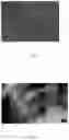 Fig. 03 - PRIMARY CHEMICAL CURRENT SOURCE BASED ON GRAPHENE