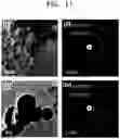 Fig. 16 - Air electrode including multi-layer structure with extended three-phase boundary and method for manufacturing the same