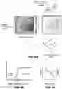 Fig. 09 - Method of predicting liquid regions and vapor regions in bipolar plates of a fuel cell