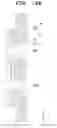 Fig. 17 - Fuel cell
