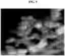 Fig. 06 - PREPARATION OF COMPOSITE SOLID ELECTROLYTE AND ALL-SOLID-STATE BATTERY USING THE SAME
