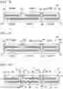 Fig. 12 - LAMINATED ALL-SOLID SECONDARY CELL AND METHOD FOR MANUFACTURING SAME