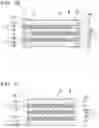 Fig. 03 - All-solid-state battery