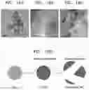 Fig. 19 - IN-SITU X-RAY DIFFRACTION ANALYSIS APPARATUS INCLUDING PELTIER-TYPE TEMPERATURE CONTROL UNIT AND ANALYZING METHOD USING THE SAME